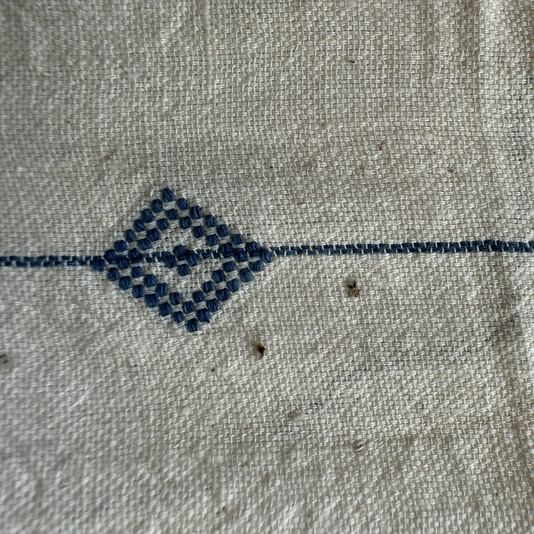 Kala Cotton Embroidered Fabric