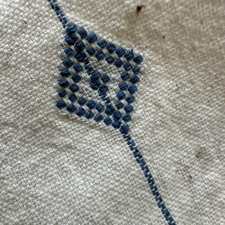 Kala Cotton Embroidered Fabric