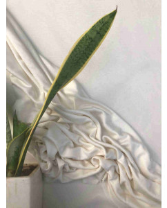 Organic Bamboo Knit Fabrics Minimum Order 5Kg